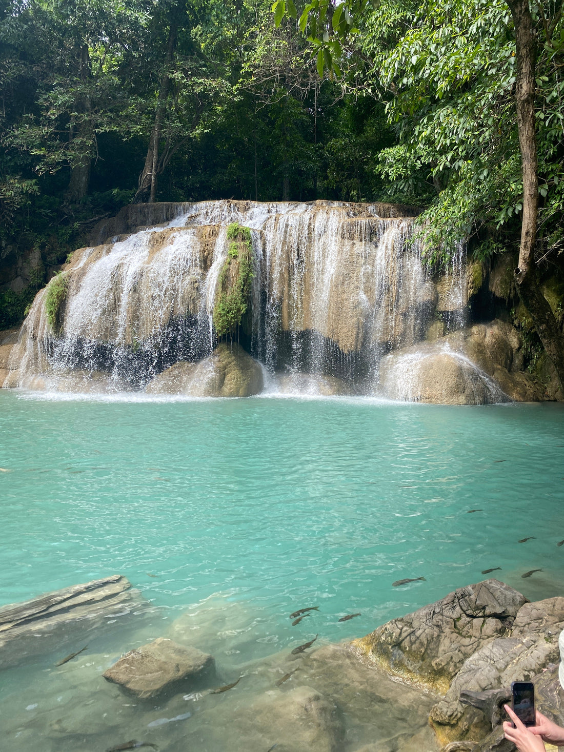 TEFL Without a Degree: What You Need to Know